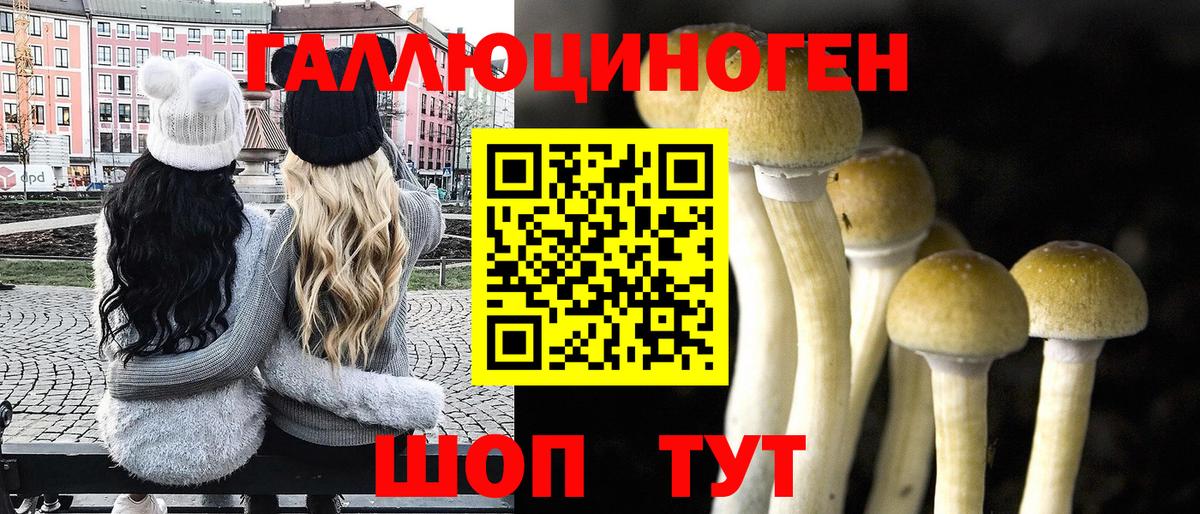 Галлюциногенные грибы GOLDEN TEACHER  Вход с VPN  купить наркоту  Ленинск-Кузнецкий 