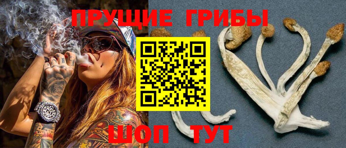 Галлюциногенные грибы ЛСД Ленинск-Кузнецкий